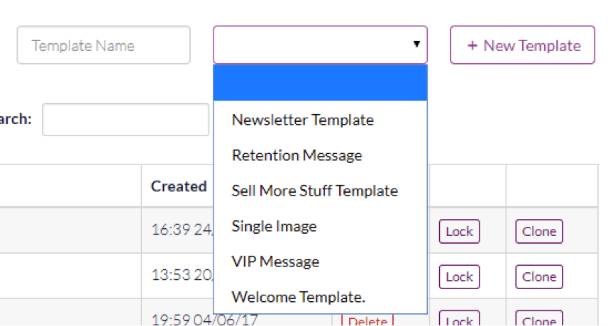 choosing an email template in Websand
