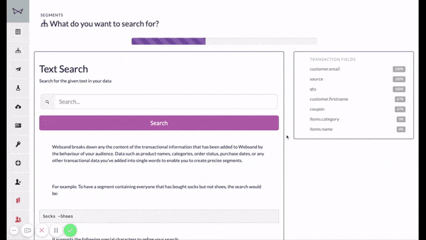 websand transaction based segmentation wizard data audit