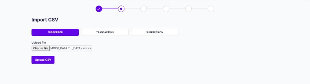 Websand Audience Import CSV upload